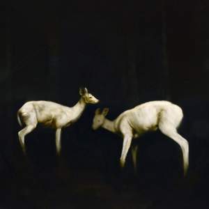 'Two Deers', Sergio Pilan Gómez ( Oil on canvas, 195 x 195 cm )